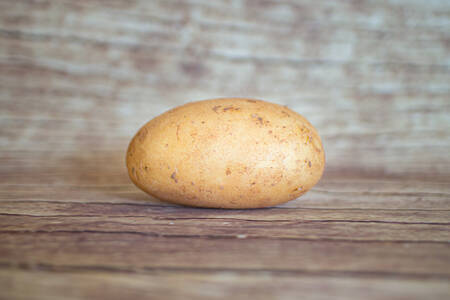 Pomme de terre Allians ferme  BIO