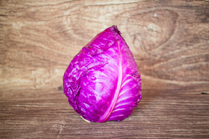 Chou pommé rouge pointu  BIO