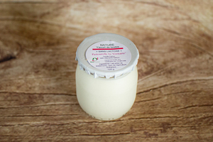 yogourt brebis nature sans lactose 120 g BIO