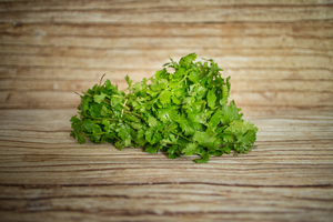 coriandre bouquet  BIO