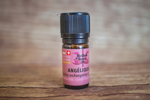 huile essentielle angélique 5 ml 