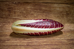 Chicorée rouge Trévisana allongée  BIO