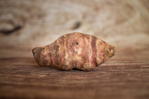Topinambour blanc ou rouge lavé  BIO