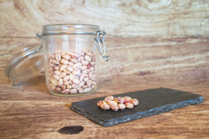 haricot borlotti  BIO