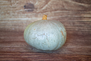 Courge potimarron bleu  BIO