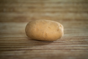 Pomme de terre Agata polyvalente  BIO